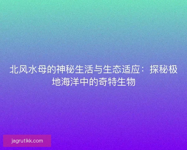 北风水母的神秘生活与生态适应：探秘极地海洋中的奇特生物