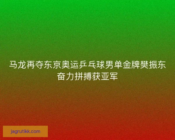 马龙再夺东京奥运乒乓球男单金牌樊振东奋力拼搏获亚军