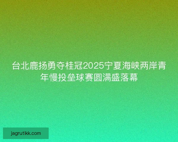 台北鹿扬勇夺桂冠2025宁夏海峡两岸青年慢投垒球赛圆满盛落幕